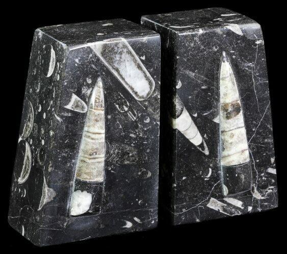 Polished Orthoceras Bookends - Morocco #61320